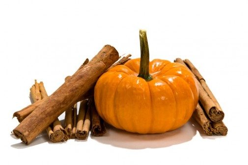 Pumpkin Maple Pie.jpg